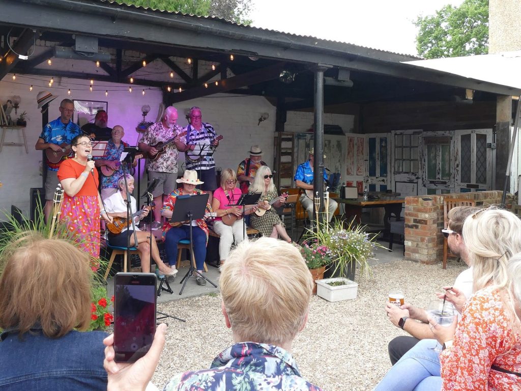 Live music at The Swan, Clewer Village